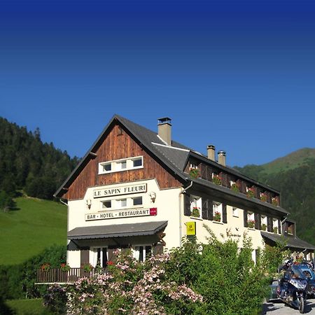 Hotel - Restaurant - Bar - Le Sapin Fleuri Bourg-dʼOueil Exterior foto